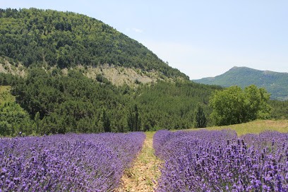 Couleurs Provence, Parfumerie à Montguers