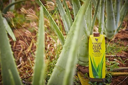 ALOE VERA FOREVER - Distributrice Conseillère Indépendante, Magasin de Cosmétiques à Sanary-sur-Mer