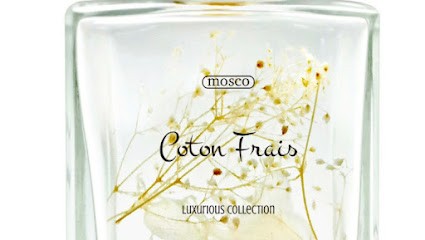 Parfums Du Monde, Parfumerie à Argenteuil