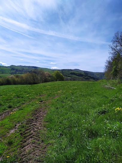 Echappée bulles, Magasin de Cosmétiques à Collandres