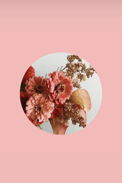 Maison Yuri, Magasin de Cosmétiques à Suresnes