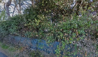 Le Gadjo | Tondeuse Testicule, Magasin de Cosmétiques à Aix-en-Provence