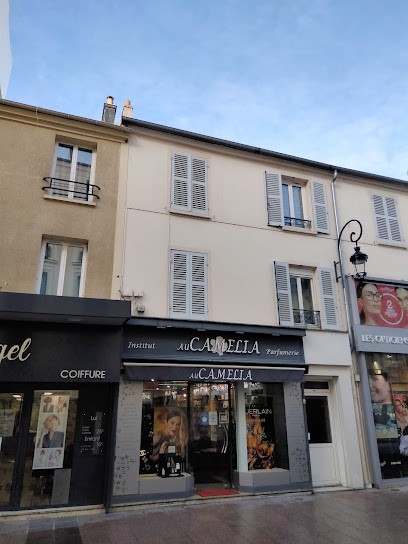 Au Camelia, Parfumerie à Puteaux