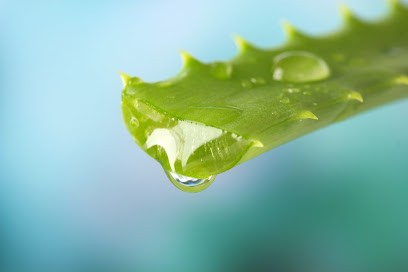 Aloe Vera Forever - Mon bien-être au quotidien, Magasin de Cosmétiques à Saint-Avé