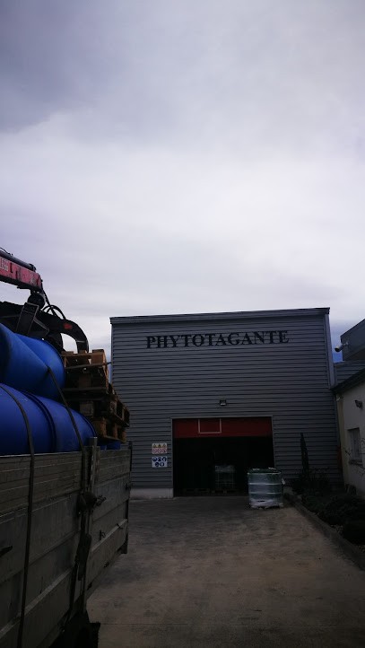 Phytotagante, Parfumerie à Toulouges