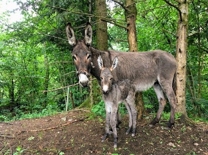 Douceur d’ânesse, Magasin de Cosmétiques à Vecoux