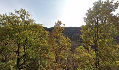 Sozio J Et E Descollonges, Parfumerie à Saint-Vallier-de-Thiey