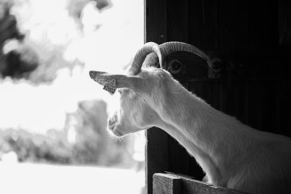 Savons Bulle De Douceur, Magasin de Cosmétiques à Yenne