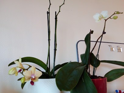 Coslab, Parfumerie à Pacy-sur-Eure