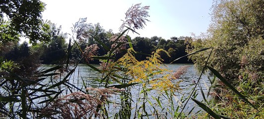 Alès, Parfumerie à Bezons