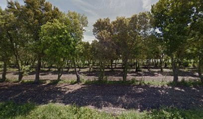 Distillerie De L' Enclave Des Papes, Parfumerie à Richerenches